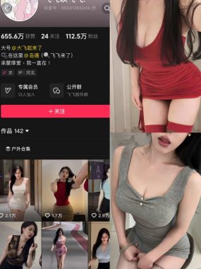 抖音 飞飞以飞飞 岛遇全套作品资源合集[持续更新]